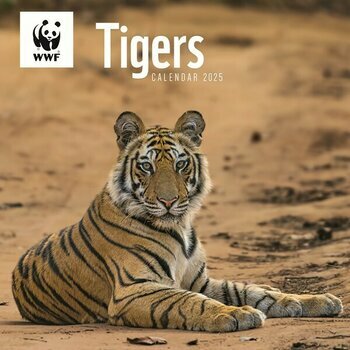 Calendrier 2025 Tigres Félins WWF