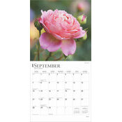 Calendrier 2025 Dlicates Fleurs de Roses