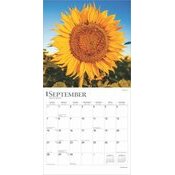 Calendrier 2025 Fleurs de Tournesols