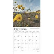 Calendrier 2025 Fleurs des Champs Sauvages