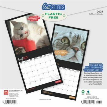 Calendrier 2025 Humour Chats Selfies