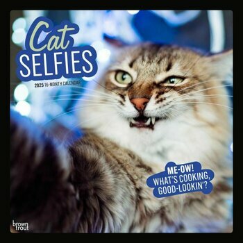 Calendrier 2025 Humour Chats Selfies