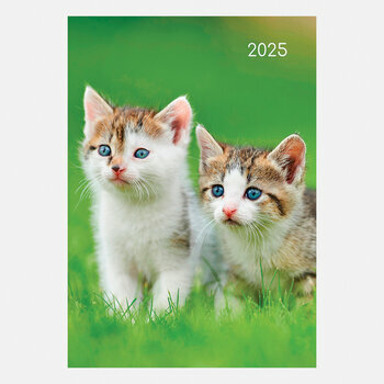 Agenda Chat et Chaton 2025