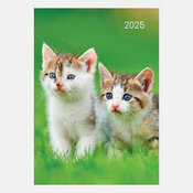 Agenda Papier Chat et Chaton 2025