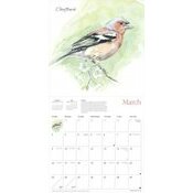 Calendrier 2025 Dessins Oiseaux du Jardin Chris Pendleton