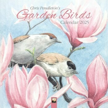 Calendrier 2025 Dessins Oiseaux du Jardin Chris Pendleton