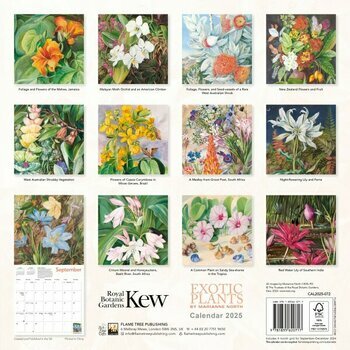 Calendrier 2025 Dessins Fleurs Exotiques Marianne North