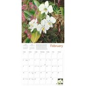 Calendrier 2025 Dessins Fleurs Exotiques Marianne North