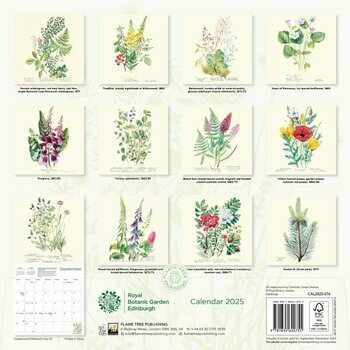 Calendrier 2025 Dessins Fleurs Botanique Jardin Royal Edimbourg