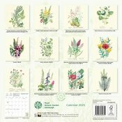 Calendrier Papier 2025 Dessins Fleurs Botanique Jardin Royal Edimbourg