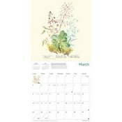 Calendrier 2025 Dessins Fleurs Botanique Jardin Royal Edimbourg