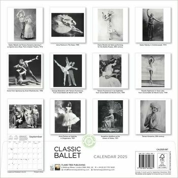 Calendrier 2025 Icônes Ballets de Danse Classiques