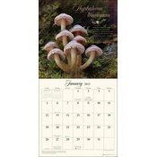 Calendrier 2025 Champignons Varits Fort 