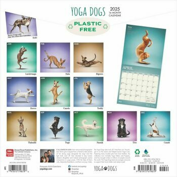 Calendrier 2025 Chiens Postures Yoga 