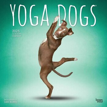 Calendrier 2025 Chiens Postures Yoga 