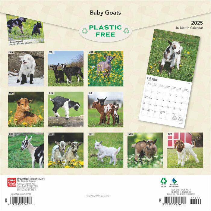 Calendrier Papier 2025 Bébés Chèvre Chevreaux