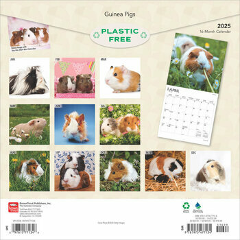 Calendrier 2025 Cochons d'Inde Guinea Pig