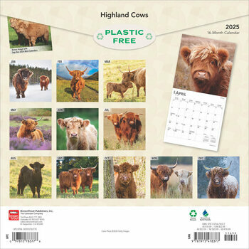 Calendrier 2025 Vaches de Race Highland 