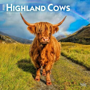 Calendrier 2025 Vaches de Race Highland 