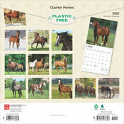 Calendrier papier 2025 Chevaux Race Quarter