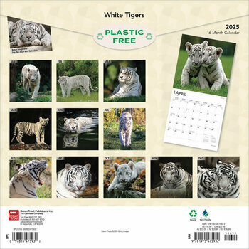 Calendrier 2025 Tigres Blancs Royaux