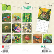 Calendrier papier 2025 Grenouilles Batraciens Rainettes