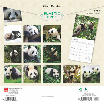 Calendrier 2025 Pandas Géants