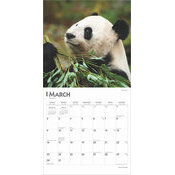 Calendrier 2025 Pandas Gants