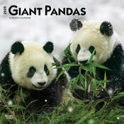 Calendrier Mural 2025 Pandas Gants