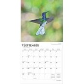 Calendrier 2025 Oiseaux Colibris