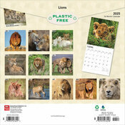 Calendrier Papier 2025 Lions Lionnes