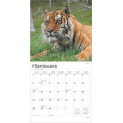 Calendrier 2025 Les plus Grand Flins Tigres