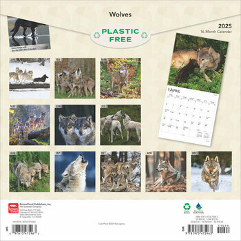 Calendrier 2025 Loups Mystiques