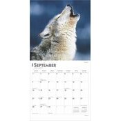 Calendrier 2025 Loups Mystiques