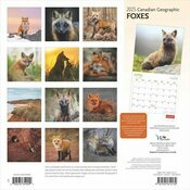 Calendrier Papier  2025 Renards de nos Forts