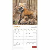 Calendrier 2025 Renards de nos Forts