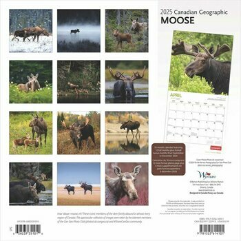 Calendrier 2025 Elan Moose des Forêts