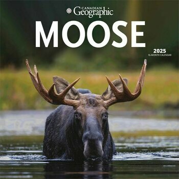 Calendrier 2025 Elan Moose des Forêts