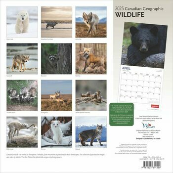 Calendrier 2025 Animaux Sauvages Ours Loups