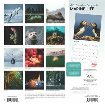 Calendrier 2025 Animaux Marins et Vie Sous Marine