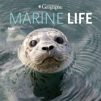 Calendrier 2025 Animaux Marins et Vie Sous Marine