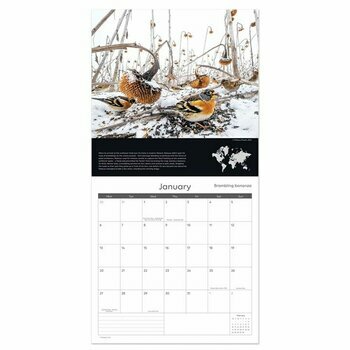 Calendrier 2025 Photographies Nature et Animaux de L'Année