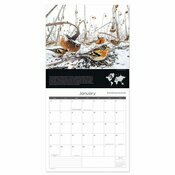 Calendrier Papier 2025 Photographies Nature et Animaux de L'Anne