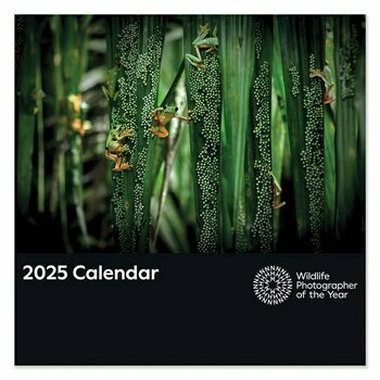 Calendrier 2025 Photographies Nature et Animaux de L'Année