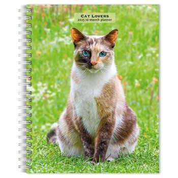 Agenda 2025 Spirale Amoureux des Chats