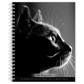 Agenda 2025 Spirale Portraits Chats Noir et Blanc