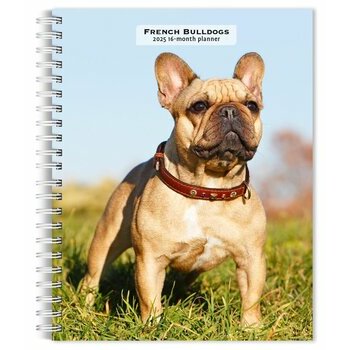 Agenda 2025 Spirale Chien Bouledogue Français