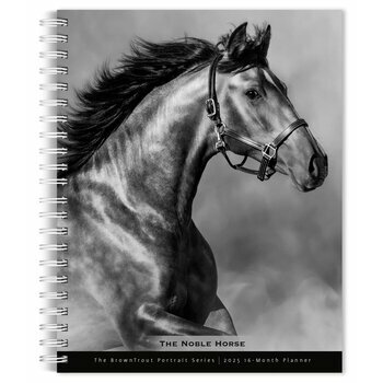 Agenda 2025 Spirale Portraits Noir et Blanc Chevaux