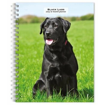 Agenda 2025 Spirale Chien Labrador Noir