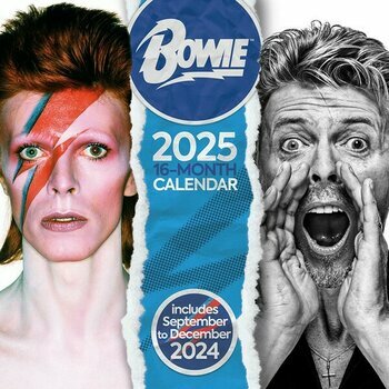 Calendrier 2025 David Bowie Star Ziggy